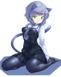 Rule 34 | 1girl, animal ears, between breasts, black pantyhose, breasts, cat ears, cat tail, green eyes, necktie, pantyhose, parted lips, pleated skirt, sanya v. litvyak, short hair, silver hair, sitting, skirt, solo, strike witches, tail, wariza, world witches series, zizi (zz22)
