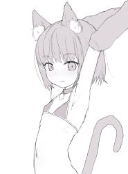Rule 34 | 1girl, animal ears, armpits, bikini, blush, cat ears, cat tail, closed mouth, collar, commentary request, copyright request, covered erect nipples, flat chest, greyscale, hands up, highres, looking at viewer, micro bikini, monochrome, navel, simple background, smile, solo, swimsuit, tail, upper body, white background, yakihebi