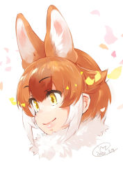 Rule 34 | 1girl, animal ears, brown hair, commentary request, dated, dhole (kemono friends), dog ears, extra ears, eyes visible through hair, fur collar, hair between eyes, hair flaps, happa (cloverppd), highres, kemono friends, looking away, multicolored hair, portrait, short hair, signature, simple background, smile, solo, two-tone hair, white background, white hair, yellow eyes