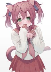 Rule 34 | 10 (user cwuu4848), 1girl, :d, absurdres, animal ears, blue ribbon, cat ears, cat girl, cat tail, eyes visible through hair, fang, furrowed brow, green eyes, hair between eyes, hair ribbon, highres, kemonomimi mode, kobayakawa yutaka, long sleeves, looking at viewer, lucky star, miniskirt, neckerchief, open mouth, pink hair, pink neckerchief, pink tail, pleated skirt, red sailor collar, red skirt, ribbon, ryouou school uniform, sailor collar, school uniform, serafuku, shirt, short hair, sidelocks, simple background, skin fang, skirt, sleeves past wrists, smile, solo, tail, twintails, white background, white shirt