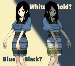 Rule 34 | 1girl, black hair, brown eyes, clone, dress, dual persona, earrings, fujie yamato, highres, jewelry, long hair, meme, meme attire, original, outstretched arms, standing, the dress (meme)