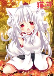 Rule 34 | 1girl, alternate hair length, alternate hairstyle, animal ears, autumn, autumn leaves, bare shoulders, between legs, blush, breasts, circle name, commentary request, detached sleeves, dirt, eyes visible through hair, forest, full body, grass, hand between legs, hat, highres, hikanyan, inubashiri momiji, leaf, long hair, looking at viewer, maple leaf, medium breasts, multicolored clothes, multicolored skirt, nature, open mouth, pom pom (clothes), red eyes, shirt, sitting, skirt, solo, tail, teeth, tokin hat, tongue, touhou, tree, white hair, white shirt, wide sleeves, wolf ears, wolf tail