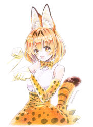 Rule 34 | 10s, 1girl, animal ears, blonde hair, bow, bowtie, breasts, colored pencil (medium), cowboy shot, elbow gloves, extra ears, gloves, highres, kemono friends, looking at viewer, mojacookie, open mouth, print bow, print bowtie, print gloves, print neckwear, print skirt, serval (kemono friends), serval print, serval tail, simple background, skirt, sleeveless, smile, solo, tail, traditional media, twitter username, white background, yellow eyes