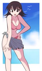 Rule 34 | 1girl, absurdres, azumanga daiou, bikini, border, breasts, brown eyes, brown hair, cleavage, cloud, collarbone, commentary, english commentary, feet out of frame, grey sarong, hair between eyes, hand on own hip, highres, jeff miga, long hair, looking at viewer, medium breasts, navel, open mouth, outside border, pink bikini, sarong, simple bird, sky, smile, solo, swimsuit, takino tomo, water, white border
