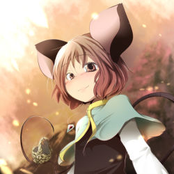 Rule 34 | 1girl, aki (akikaze asparagus), animal ears, basket, capelet, female focus, gem, grey hair, jewelry, mouse (animal), mouse ears, mouse tail, nazrin, necklace, pendant, red eyes, short hair, solo, tail, touhou, upper body