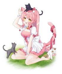 1girl animal animal_collar animal_ear_fluff animal_ears animal_on_head arm_up back_bow bare_legs barefoot bell between_legs bow breasts cat cat_ears cat_girl cat_on_head cat_tail character_request cleavage collar commission copyright_request dress dress_bow fang frilled_wristband hair_between_eyes hand_between_legs jingle_bell light_blush long_hair looking_at_viewer medium_breasts multiple_cats neck_bell nekomitei on_grass on_head open_mouth pink_dress pink_hair pink_tail ponytail puffy_short_sleeves puffy_sleeves red_bow red_collar red_ribbon ribbon short_dress short_sleeves sidelocks sitting skeb_commission skin_fang sleeve_bow smile solo tail tail_raised very_long_hair white_background white_bow white_dress yellow_eyes yokozuwari