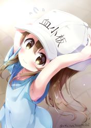 Rule 34 | 10s, 1girl, armpits, arms up, blue shirt, blurry, blurry background, blush, brown eyes, brown hair, character name, closed mouth, clothes writing, depth of field, flat cap, flying sweatdrops, hair between eyes, hands on headwear, hat, hataraku saibou, long hair, looking at viewer, neki (wakiko), platelet (hataraku saibou), shirt, short hair, solo, twitter username, very long hair, wavy mouth, white hat