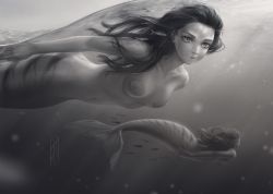 Rule 34 | 2girls, absurdres, closed mouth, collarbone, commentary, completely nude, english commentary, fish, forehead, full body, greyscale, highres, kotikomori, light rays, long hair, mermaid, monochrome, monster girl, multiple girls, navel, nipples, nude, original, partially underwater shot, pasties, scales, seashell, shell, smile, solo focus, stomach, submerged, sunbeam, sunlight, swimming, underwater