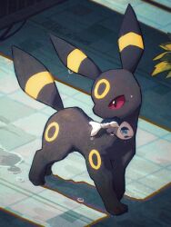Rule 34 | animal focus, arc draws, black eyes, colored sclera, commentary, creatures (company), english commentary, facial mark, forehead mark, full body, game freak, gen 2 pokemon, gen 7 pokemon, highres, mouth hold, nintendo, no humans, plant, pokemon, pokemon (creature), puddle, red sclera, shadow, standing, turning head, twitter username, umbreon, water drop, wishiwashi, wishiwashi (solo)