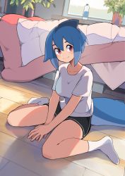 Rule 34 | 1girl, azuumori, bed, black shorts, blue hair, bottle, breasts, closed mouth, collarbone, comforter, dutch angle, fins, fish tail, gym shorts, hair between eyes, highres, indoors, large breasts, looking at viewer, mako (azuumori), on floor, original, own hands together, plant, potted plant, red eyes, shark tail, shirt, short hair with long locks, short sleeves, shorts, sidelocks, sitting, smile, socks, solo, straight hair, tail, tareme, wariza, water bottle, white shirt, white socks, window, wooden floor