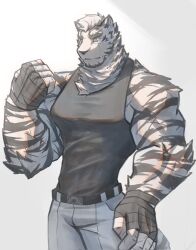 Rule 34 | 1boy, animal ears, arknights, bad tag, bara, black tank top, clenched hand, cowboy shot, furry, furry male, highres, large hands, large pectorals, looking at viewer, male focus, mountain (arknights), muscular, muscular male, pants, pectorals, scar, scar across eye, short hair, solo, tank top, thick eyebrows, tiger boy, tiger ears, v-taper, white hair, yizhiyazi (yz z )
