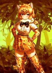 Rule 34 | 10s, 1girl, absurdres, animal ears, blonde hair, blush, bow, bowtie, breast pocket, closed mouth, cowboy shot, darandy, day, forest, fur collar, gloves, hands on own hips, high-waist skirt, highres, jaguar (kemono friends), jaguar ears, jaguar print, jaguar tail, kemono friends, looking at viewer, miniskirt, nature, outdoors, pocket, print gloves, print skirt, print thighhighs, shirt, short hair, short sleeves, skindentation, skirt, smile, solo, tail, thighhighs, tree, white shirt, yellow eyes, zettai ryouiki