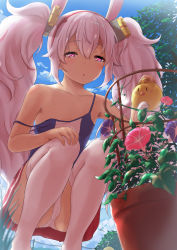 Rule 34 | 1girl, :o, absurdres, animal ears, armpits, azur lane, backlighting, bare shoulders, blue camisole, blue sky, blush, bug, camisole, cloud, collarbone, commentary request, day, dragonfly, fake animal ears, flower, grass, hair between eyes, hair ornament, hairband, half-closed eyes, highres, holding, holding watering can, insect, laffey (azur lane), long hair, looking down, manjuu (azur lane), morning glory, no jacket, outdoors, panties, pantyshot, pink eyes, plant, pleated skirt, potted plant, rabbit ears, red hairband, red skirt, sidelocks, skirt, sky, solo, squatting, strap slip, summer, sweatdrop, thighhighs, tree, twintails, underwear, very long hair, watering, watering can, white hair, white panties, white thighhighs, yamataka, zettai ryouiki
