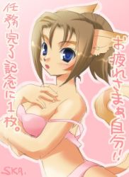 Rule 34 | 00s, 1girl, animal ears, blue eyes, blush, bra, breasts, brown hair, cat ears, cat girl, cat tail, final fantasy, final fantasy xi, from side, furry, hand on own chest, japanese text, marking on cheek, markings, medium breasts, mithra (ff11), open mouth, panties, parted bangs, pink background, pink bra, pink panties, ponytail, signature, solo, tail, thick eyebrows, underwear, undressing