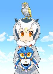 Rule 34 | 1girl, animal ears, clash of the titans, closed mouth, cloud, coat, crossover, fur collar, head wings, kemono friends, looking at viewer, mirai sentai timeranger, multicolored hair, northern white-faced owl (kemono friends), short hair, super sentai, ueyama michirou, white hair, wings