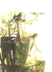 Rule 34 | 1girl, bird, black hair, commentary request, dress, feet, kisaragi kokoro (hazuki), long hair, mono (shadow of the colossus), shadow of the colossus, solo, tree
