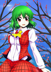 Rule 34 | 1girl, ascot, blush, cowboy shot, green hair, juliet sleeves, kazami yuuka, kochouka, long sleeves, looking at viewer, open clothes, open vest, parted lips, plaid, plaid skirt, plaid vest, puffy sleeves, red eyes, short hair, skirt, smile, solo, touhou, vest