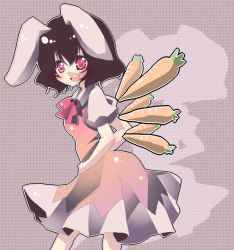 Rule 34 | 1girl, aimai (artist), animal ears, bad id, bad pixiv id, bow, bowtie, brown hair, rabbit ears, carrot, cirno, cirno (cosplay), cosplay, dress, female focus, inaba tewi, manabu, red eyes, solo, touhou, wings