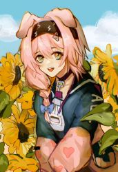 Rule 34 | 1girl, :d, animal ears, arknights, black hairband, blue bow, blue jacket, blue sky, bow, braid, cat ears, clothes writing, cloud, field, floppy ears, flower, flower field, goldenglow (arknights), hair between eyes, hair bow, hair ornament, hairband, hairclip, heart, highres, id card, jacket, lanyard, lightning bolt print, long sleeves, looking at viewer, multicolored clothes, multicolored jacket, open mouth, outdoors, pink jacket, qiuhai (xiaotaiyang167), sky, smile, solo, sunflower, sunflower field, teeth, two-tone jacket, upper body, upper teeth only, yellow eyes
