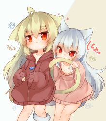 Rule 34 | 2girls, ahoge, animal ears, biting, biting another&#039;s tail, blue hair, brown hair, brown jacket, cat ears, cat girl, cat tail, commentary request, ear-to-ear, ears touching, highres, jacket, long hair, multiple girls, naked jacket, naked sweater, no pants, original, pink sweater, red eyes, sunapua, sweater, tail, tail biting, tail grab, tail wrap, yuri