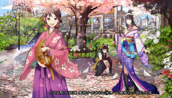Rule 34 | 3girls, animal ears, bird, black hair, brown hair, cat, cat ears, cat tail, character request, cherry blossoms, cover, cover page, day, detached sleeves, dove, flower, hakama, hakama skirt, holding, japanese clothes, japanese flag, kimono, lamppost, looking at viewer, maid headdress, multiple girls, official art, open mouth, outdoors, pavement, shigureteki, skirt, sky, squatting, standing, tail, taishou gekkou kidan majutsu otome ayane, tree