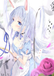 1girl animal_ear_fluff animal_ears apron black_choker blue_bow blue_dress blue_eyes blue_hair blue_ribbon blurry blurry_background blurry_foreground blush bow card choker coffee coffee_pot commentary depth_of_field dress flower frilled_apron frills gochuumon_wa_usagi_desu_ka? hair_between_eyes hair_ornament heart highres holding holding_spoon kafuu_chino kouda_suzu long_hair parted_lips petals playing_card pocket_watch pouring puffy_short_sleeves puffy_sleeves purple_flower purple_rose rabbit_ears ribbon roman_numeral rose short_sleeves solo spade_(shape) spoon striped_bow very_long_hair watch white_apron x_hair_ornament