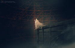 Rule 34 | artist request, back, bad id, bad pixiv id, building, dark, feather hair, feathers, from behind, landscape, long hair, scenery, solo, white hair