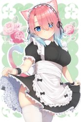 Rule 34 | 1girl, absurdres, animal ears, apron, blue eyes, breasts, cat ears, clothes lift, dress, dress lift, garter straps, go-1, highres, large breasts, looking at viewer, maid, maid apron, maid headdress, multicolored hair, original, pink hair, sidelocks, skirt, skirt lift, solo, standing, tail, thighhighs, white thighhighs