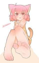 Rule 34 | 1girl, :p, animal ears, barefoot, eroneko-san, feet, female focus, foot focus, foreshortening, highres, pink eyes, pink hair, raigou, soles, solo, tail, toes, tongue, tongue out, white background