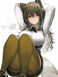 Rule 34 | 1girl, absurdres, among us, arknights, arms behind head, breasts, brown hair, brown pantyhose, closed mouth, cross tie, highres, large breasts, long hair, long sleeves, looking at viewer, pantyhose, raccoon girl, robin (arknights), shirt, solo, tab head, white background, white shirt, yellow eyes