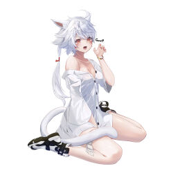 Rule 34 | 1girl, :d, absurdres, animal ear fluff, animal ears, bangle, between legs, bracelet, breasts, cat ears, cat girl, cat tail, claw pose, cleavage, collared shirt, commission, dress shirt, final fantasy, final fantasy xiv, full body, grey hair, hair between eyes, hand between legs, hand up, highres, jewelry, long hair, medium breasts, miqo&#039;te, nail polish, naked shirt, off shoulder, open mouth, orange eyes, ponta (velmar), red nails, shirt, shoes, short sleeves, simple background, sitting, skeb commission, smile, solo, tail, very long hair, wariza, white background, white footwear, white shirt, wide sleeves