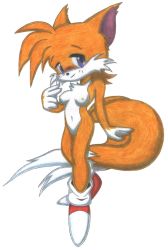 Rule 34 | animal ears, blush, breasts, furry, gender request, genderswap, highres, smile, sonic (series), tail, tails (sonic)