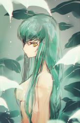 Rule 34 | 1girl, breasts, c.c., code geass, completely nude, creayus, green hair, long hair, looking at viewer, nude, rain, solo, wet, yellow eyes