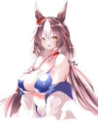 Rule 34 | 1girl, animal ears, bikini, blue bikini, breasts, choker, commentary request, ear scrunchie, highres, horse ears, horse girl, jacket, large breasts, long hair, looking at viewer, low twintails, multicolored hair, open mouth, red choker, red scrunchie, scrunchie, sdwing, simple background, solo, streaked hair, swimsuit, twintails, umamusume, white background, white hair, white jacket, yamanin zephyr (umamusume), yellow eyes