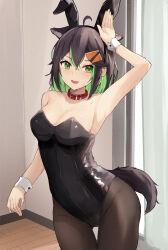 Rule 34 | 1girl, ahoge, animal ear fluff, animal ears, bare shoulders, belt collar, black leotard, breasts, brown hair, brown pantyhose, cat ears, cat tail, cleavage, collar, colored inner hair, cowboy shot, extra ears, gluteal fold, green eyes, green hair, highres, indoors, leotard, looking at viewer, medium breasts, medium hair, multicolored hair, open mouth, original, pantyhose, playboy bunny, rabbit ears, shuuzo3, smile, solo, tail, thigh gap, wrist cuffs