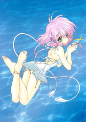 Rule 34 | 1girl, absurdres, anklet, bare shoulders, barefoot, blue background, feet, fins, fish, from above, full body, green eyes, head fins, highres, jewelry, lying, nail polish, on stomach, panties, pantyshot, pink hair, pink nails, ramiya ryou, ring, scan, short hair, soles, solo, the pose, toe ring, toenail polish, toenails, toes, underwear, water