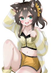 Rule 34 | 1girl, absurdres, animal ears, bad id, bad pixiv id, blush, brown hair, camisole, cat ears, frilled camisole, frills, green eyes, hair between eyes, halterneck, hand on own ear, highres, hololive, jacket, kudryavka vt, long sleeves, looking to the side, medium hair, natsuiro matsuri, natsuiro matsuri (matsuri&#039;s day off), navel, open mouth, orange shorts, paw pose, scrunchie, short shorts, shorts, side ponytail, simple background, sitting, smile, socks, solo, striped clothes, striped jacket, teeth, upper teeth only, virtual youtuber, white background, white jacket, yellow camisole, yellow jacket, yellow scrunchie, yellow socks
