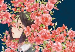 Rule 34 | 1boy, black hair, blue background, bob cut, cachette, expressionless, fate/zero, fate (series), flower, green eyes, male focus, parted bangs, simple background, solo, waver velvet