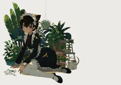Rule 34 | 1girl, absurdres, animal ear fluff, animal ears, apron, black footwear, black hair, blush, cat ears, cat girl, chair, collared dress, commentary request, dress, flower, frilled dress, frills, full body, grey eyes, hair between eyes, hanging plant, highres, kgt (pixiv12957613), long sleeves, looking at viewer, maid, maid apron, maid headdress, mary janes, neck ribbon, one side up, original, pantyhose, parted lips, plant, potted plant, puffy long sleeves, puffy sleeves, red ribbon, ribbon, shoes, short hair, signature, simple background, solo, watering can, white background, white flower, white pantyhose