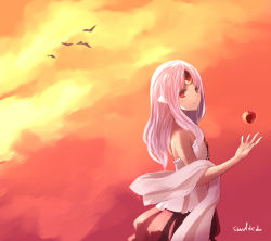 Rule 34 | 1girl, apple, apple (elsword), artist name, bad id, bad pixiv id, bird, elsword, eve (elsword), food, forehead jewel, fruit, long hair, name connection, no nose, object namesake, pink hair, red apple, red eyes, red skirt, shawl, signature, skirt, sky, solo, sunset, swd3e2