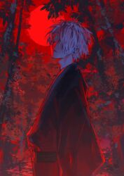 Rule 34 | 1boy, black kimono, closed mouth, forest, from side, full moon, gegege no kitarou, hair over one eye, highres, japanese clothes, kimono, kino houki, kitarou tanjou: gegege no nazo, long sleeves, looking at viewer, looking to the side, male focus, medama oyaji (human), moon, nature, night, night sky, obi, one eye covered, outdoors, red eyes, red moon, red sky, red theme, sash, short hair, sky, solo, twitter username, upper body, white hair