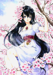 Rule 34 | 1girl, absurdres, black hair, branch, cherry blossoms, dress, female focus, flower, highres, jewelry, long hair, nature, necklace, outdoors, purple eyes, scan, shiitake (gensoudou), short sleeves, sitting, sky, solo, white dress