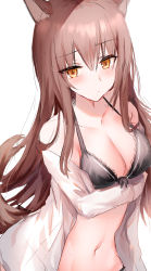 Rule 34 | 1girl, animal ears, bare shoulders, black bra, blush, bow, bow bra, bra, breast hold, breasts, brown eyes, brown hair, cleavage, closed mouth, collarbone, hair between eyes, highres, kinona, long hair, long sleeves, medium breasts, navel, off shoulder, open clothes, open shirt, original, shirt, simple background, solo, tail, underwear, upper body, very long hair, white background, white shirt