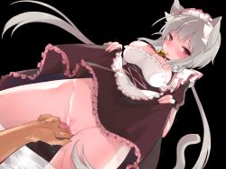 Rule 34 | 1boy, 1girl, animal ears, blush, breasts, cat ears, cat tail, cleavage, clothes lift, clothes pull, cowboy shot, dress, dress lift, dutch angle, fingering, from below, game cg, groin, hetero, lolol (circle), long hair, looking at viewer, low twintails, maid, maid headdress, meshi mase! nekomimi nyandafuru - kuudere maid no nyan nyan funtouki, open mouth, pantyhose, pantyhose pull, pov, pussy, pussy juice, red eyes, sakura (meshi mase! nekomimi nyandafuru), silver hair, solo focus, standing, tail, thighs, transparent background, trembling, twintails, white background, white pantyhose