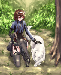 Rule 34 | 1girl, asymmetrical sleeves, belt pouch, black gloves, black leotard, blue jacket, brown hair, bush, cropped jacket, daeyoon huh, dog, folded hair, forest, full body, garter straps, girls&#039; frontline, gloves, gradient hair, grass, grey thighhighs, gun, hair ribbon, highres, holding, holding gun, holding weapon, jacket, kneeling, leotard, mechanical arms, multicolored hair, nature, on one knee, outdoors, petting, pouch, red eyes, red hair, ribbon, scope, short hair with long locks, single mechanical arm, skindentation, solo, strap, thighhighs, tree, trigger discipline, type 79 (girls&#039; frontline), type 79 smg, weapon, white dog, white ribbon, yeklsa