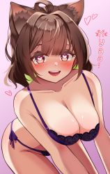 Rule 34 | 1girl, absurdres, animal ear fluff, animal ears, blush, bra, breasts, bright pupils, c turtle, cat ears, cat girl, cleavage, collarbone, commentary, english commentary, eyebrows hidden by hair, heart, heart-shaped pupils, highres, kemonomimi mode, large breasts, leaning forward, miori celesta, open mouth, panties, purple background, purple bra, purple eyes, purple panties, smile, solo, symbol-shaped pupils, tsunderia, underwear, underwear only, virtual youtuber, white background, white pupils