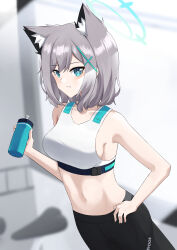 Rule 34 | 1girl, absurdres, alternate costume, animal ears, armpits, bicycle, bike shorts, blue archive, blue eyes, blurry, bottle, commentary, depth of field, gevuxx, grey hair, hair between eyes, halo, hand on own hip, highres, holding, holding bottle, looking at viewer, medium hair, mismatched pupils, navel, parted lips, shiroko (blue archive), sidelocks, sleeveless, solo, sports bra, sportswear, stomach, wolf ears, wolf girl