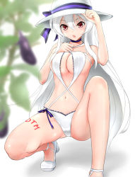 Rule 34 | 1girl, bad id, bad pixiv id, brown eyes, comugico, eggplant, hat, long hair, md5 mismatch, navel, open mouth, silver hair, solo, squatting, sun hat, swimsuit, very long hair, vocaloid, white background, yowane haku