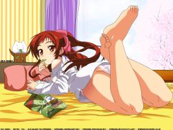 Rule 34 | 00s, 1girl, :3, ass, bag, bare shoulders, barefoot, bed, bedroom, blush, book, breasts, cat, character name, cherry blossoms, cloud, curtains, day, dress shirt, eating, feet, food, food in mouth, foreshortening, full body, hair ribbon, indoors, leaf, legs, crossed legs, legs up, long sleeves, looking at viewer, looking back, lying, medium breasts, mouth hold, no bra, no pants, o o, off shoulder, official art, official wallpaper, on bed, on stomach, onda aka, open book, panties, pillow, pink ribbon, rec, red eyes, red hair, ribbon, shimizu keita, shirt, sideboob, sidelocks, sky, solo, striped, third-party edit, toes, tree, underwear, vertical stripes, wallpaper, wallpaper (object), watermark, web address, white panties, white shirt, window