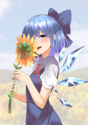 Rule 34 | 1girl, :d, absurdres, blue bow, blue dress, blue eyes, blue hair, blush, bow, breasts, cirno, commentary request, dress, flower, from side, happy, highres, holding, holding flower, huge filesize, ice, ice wings, keenii (kenny86), open mouth, red neckwear, small breasts, smelling flower, smile, solo, sunflower, touhou, upper body, wings
